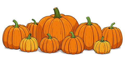 A collection of realistic pumpkins in various natural shapes and sizes, arranged in rows on a clean white background. The pumpkins are deep orange in color with distinct ridges and green stems. Some a