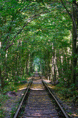 tunnel of love in Ukraine