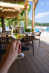 drinking wine on the beach with seaview in Croatia Medveja