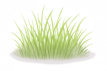 Vibrant green grass blades growing densely, isolated on a transparent background, ideal for nature and landscaping designs
