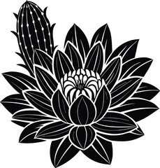 Close-up of a single vibrant red rose with delicate dew drops showcasing natural beauty and romantic elegance transparent background