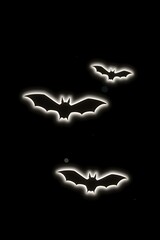 Fototapeta premium Three Bats Flying in the Night