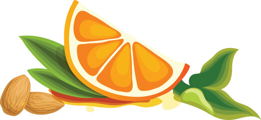 vector illustration of a slice of orange