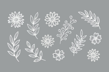 Fototapeta premium Floral Elements Collection