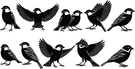 Black Silhouette Vector Illustrations of Sparrows in Various Poses, Flying and Standing, for Nature, Wildlife, and Ornithology Design Projects