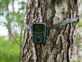 Mini wildlife surveillance camera. Hunting camera on a tree trunk. Photo and video trap