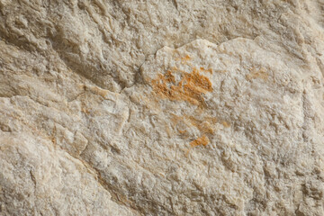 Textured natural rock with organic fractures and subtle earthy shades, excellent for use in geology-related materials, background images, and eco-style designs.