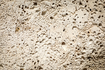 Close-up of a porous limestone surface showing natural texture and intricate holes formed by erosion. The image reveals the raw beauty and unique patterns of sedimentary rock.