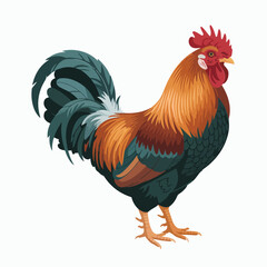 Fototapeta premium Colorful rooster standing in profile view