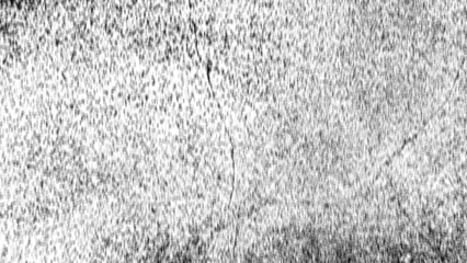 Aerial view of a lush green forest canopy bathed in soft sunlight transparent background