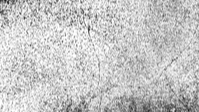 Aerial view of a lush green forest canopy bathed in soft sunlight transparent background