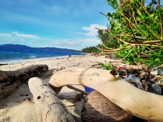 beach conditions with lots of dead wood and plastic waste 