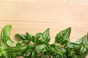 Fresh green basil leaves on wooden background