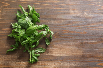 Fresh green basil leaves on wooden background