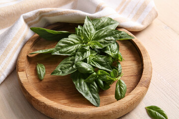 Plate with fresh green basil leaves on white wooden background, closeup