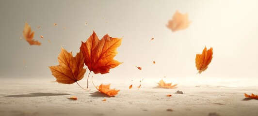 Realistic autumn scene with scattered maple leaves blowing in wind from low angle, soft warm sunlight, clean minimal background, wide composition with large sky space for text, calm poetic mood