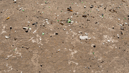 Broken glass shards scattered on asphalt surface