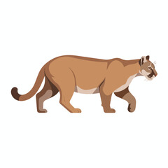 Illustration of a cougar in vector format