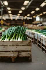 Leeks harvested in wooden boxes in a warehouse. Natural organic fruit abundance. Healthy and natural food storing and shipping concept.