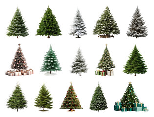 Obraz premium PNG Diverse festive Christmas trees collection, element set on transparent background