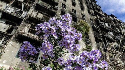 ruined street and destroyed houses the city Kiev war in Ukraine