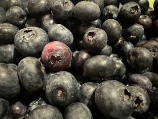 Obraz premium blueberries on a wooden background