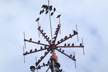 workers in the sky