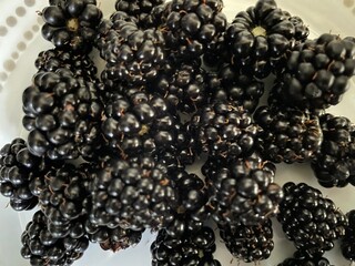 blackberries on a white background