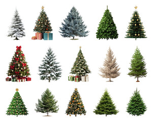 PNG Variety of festive Christmas trees, element set on transparent background