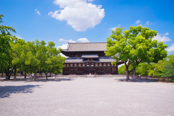 世界遺産 東寺の金堂と夏空