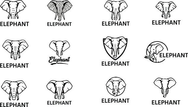 Elegant elephant illustration with vibrant color options