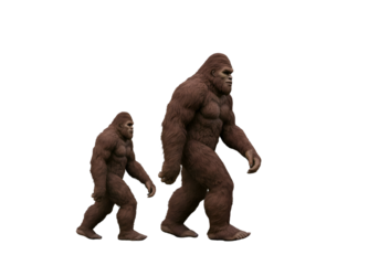 Bigfoot & Young Bigfoot: Mythical Creatures Walking, Sasquatch Illustration on white background