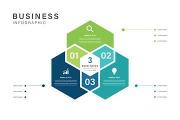 3 Step Business Strategy Infographic with Hexagon Design and Icons