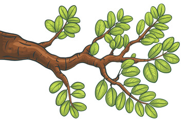 Brown Tree Branch with Green Leaves Isolated on Transparent Background