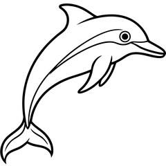 Dolphin Line Art Illustration Vector