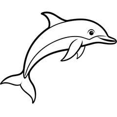 Dolphin Line Art Illustration Vector