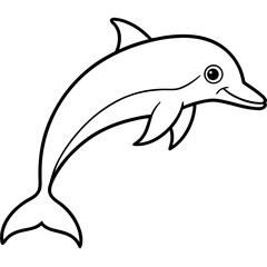 Dolphin Line Art Illustration Vector