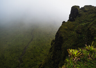 Fototapeta premium Mountain cliff shrouded in fog, with rich greenery highlighting the landscape.
