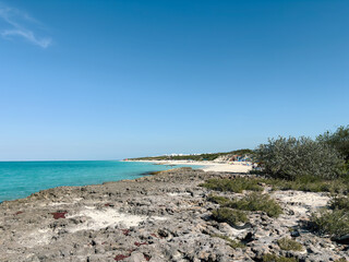 Rocky Coastline and Turquoise Sea Landscape