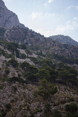 view from the top of mountain