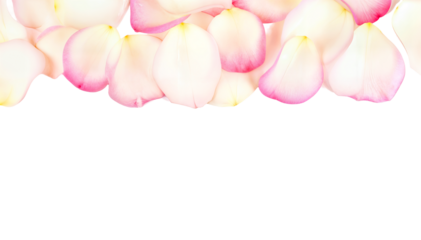 PNG Transparent Rose Petal Border with Soft Pink Gradient