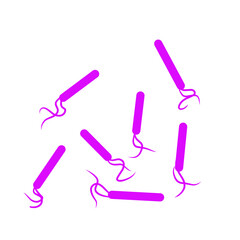 purple bacteria shape vector