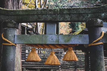 Stone torii gate with shimenawa rope at Kinrin Lake.