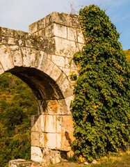 Ancient stone archway overgrown with ivy