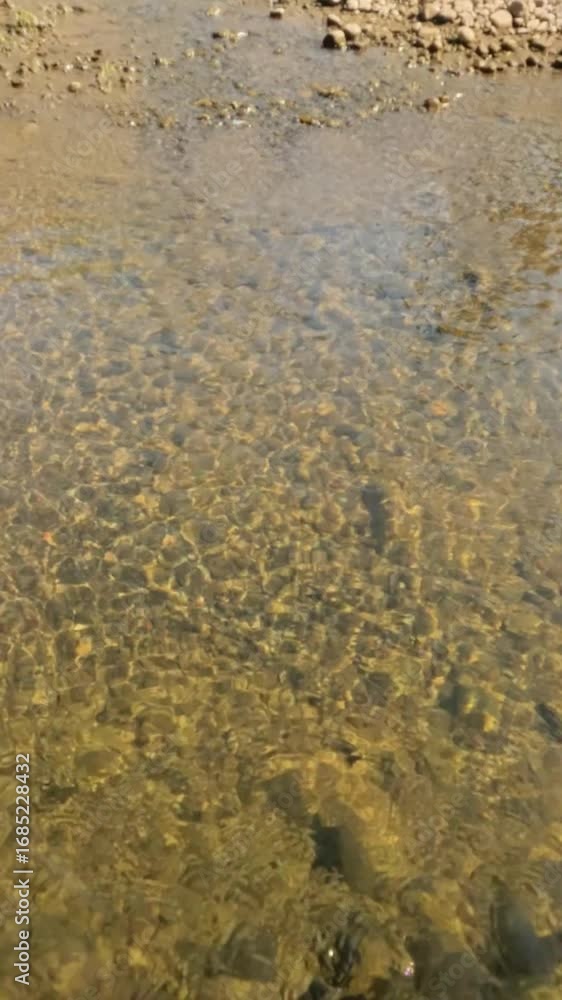 Poster vertical slow motion ripples on the surface of a clear river with the sparkle of sunlight at the bot
