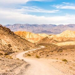 Winding Dirt Road Through Colorful