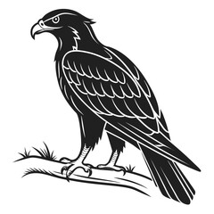 Obraz premium Illustration of a detailed black and white eagle perched on a branch with grass in a vector format art created with generated ai