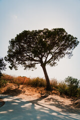 Autumn photographs showcasing natural and urban landscapes: roads surrounded by trees, dry leaves on the ground, stones, scenic viewpoints and panoramic views of a European city from above.
