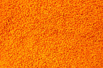 Red raw lentils close-up. Orange lentil background. Abstract food background, pattern. Organic healthy cereal, natural source of plant protein