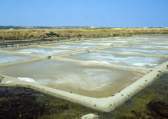 Marais Salants de Guérande, région Pays de la Loire, Loire Atlantique, 44, France